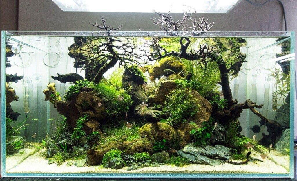 555707 1280x790 desktop hd aquascape wallpaper image
